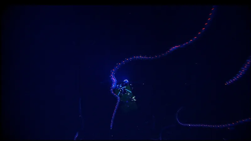 Hooked by the Deep: The Science Behind Why Ocean Spin Games Are Impossible to Quit